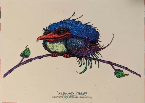 Card image top