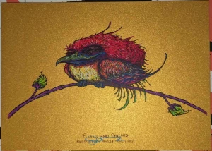 Card image top
