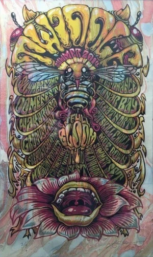 Card image top