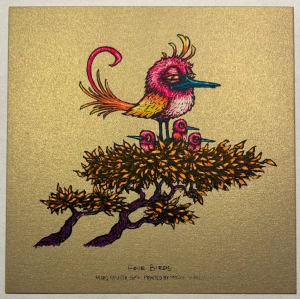 Card image top