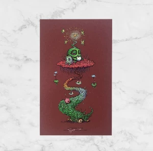 Card image top