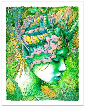 Card image top