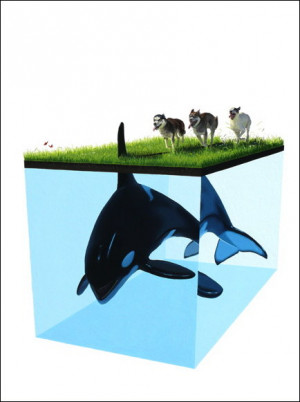 Card image top
