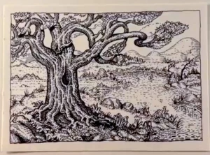 Card image top