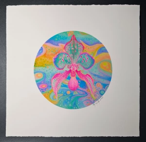 Card image top