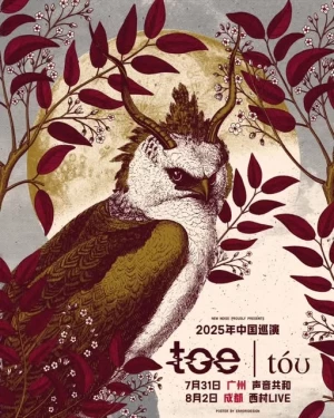 Card image top