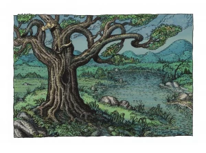 Card image top