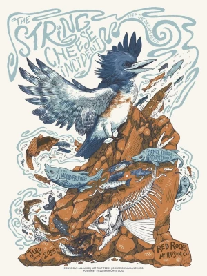Card image top