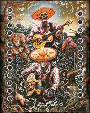 Card image top
