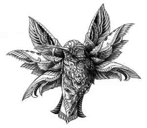 Hummingbird 2.0 16 BIOWORKZ