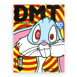 Card image top