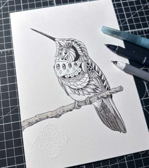 Hummingbird 5.0 25 BIOWORKZ