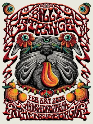 Billy Strings Athens 26 Fant