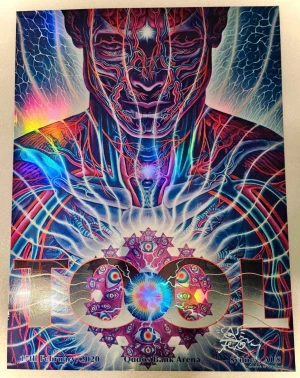 TOOL N1 Sydney 20 Grey