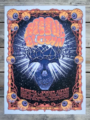 MindBlown Festival Glens Falls 26 Lyons