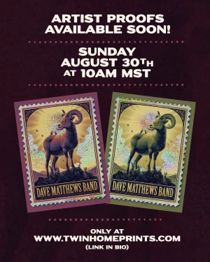 Dave Matthews Band Greenwood Village 26 Twin Home﻿