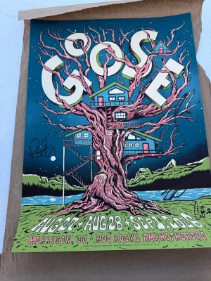 Goose Morrison 26 Bird