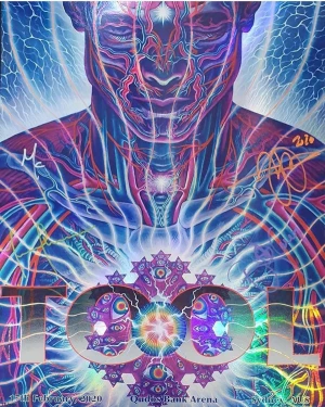 TOOL N1 Sydney 20 Grey