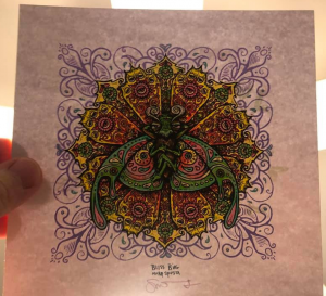 Card image top