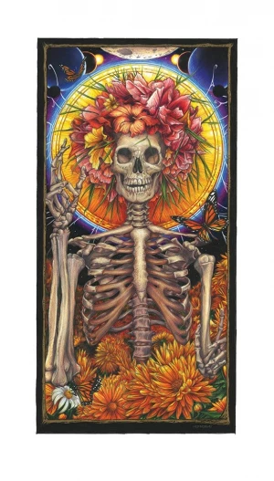 Card image top