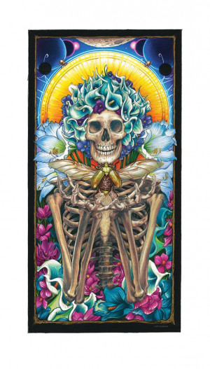Card image top