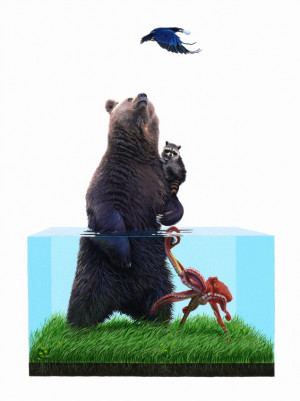 Card image top