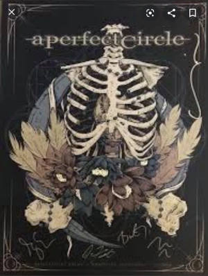 Card image top
