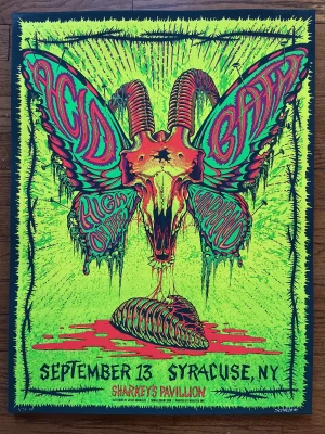 Acid Bath Syracuse 25 Schaller