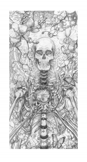 Card image top