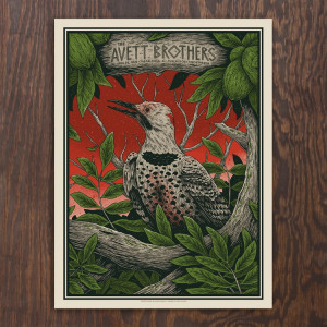 Card image top