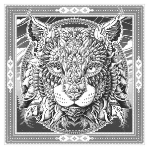 Card image top