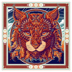 Card image top