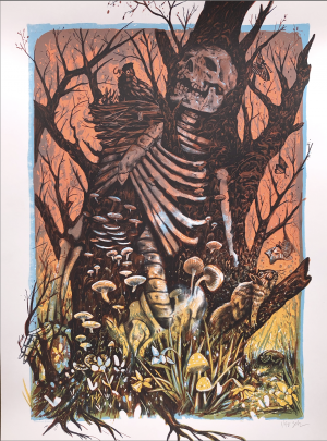 Card image top