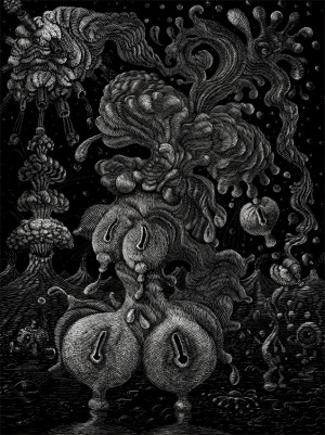 Card image top