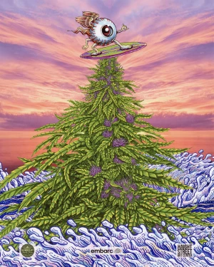 Card image top