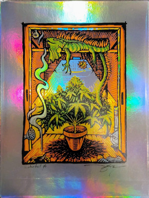 Card image top