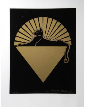 Card image top