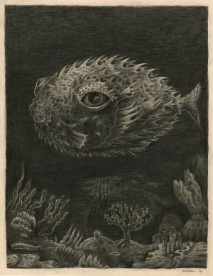 Card image top