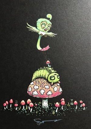 Card image top