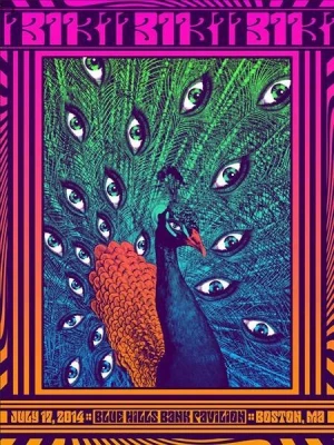 Card image top