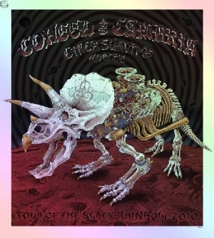 Card image top