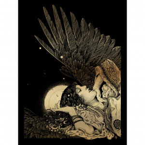 Card image top