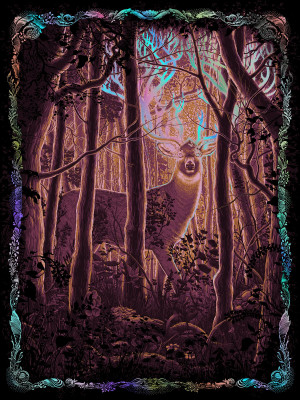 Card image top