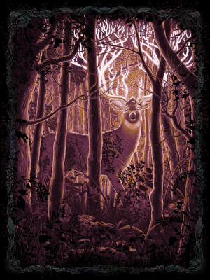 Card image top