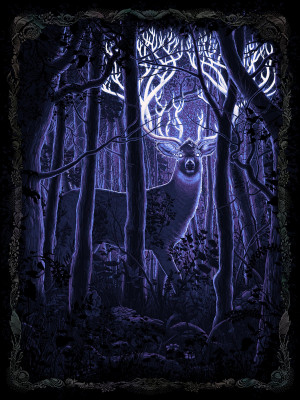 Card image top