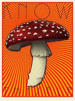 Card image top