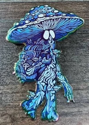 Card image top