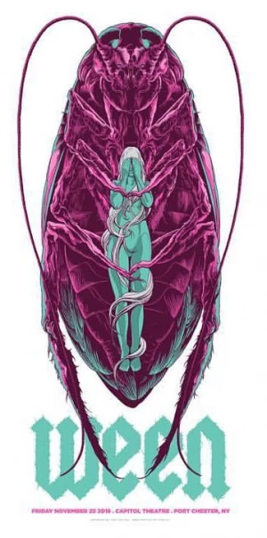 Card image top