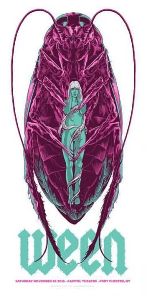 Card image top
