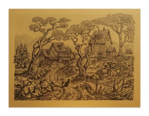 Card image top